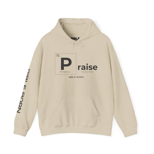 Bible Born Hoodie — Minimal White Pullover with Sleeve Text